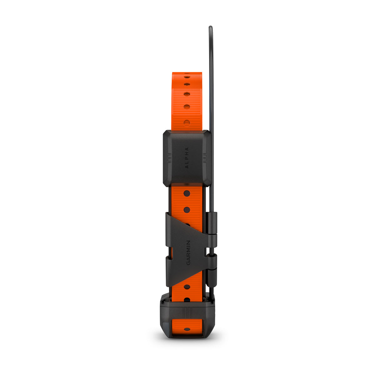 Alpha® TT 25 Dog Collar Dog Tracking and Training Collar