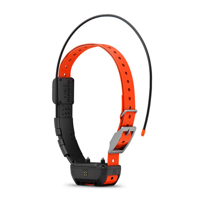 Alpha® TT 25 Dog Collar Dog Tracking and Training Collar