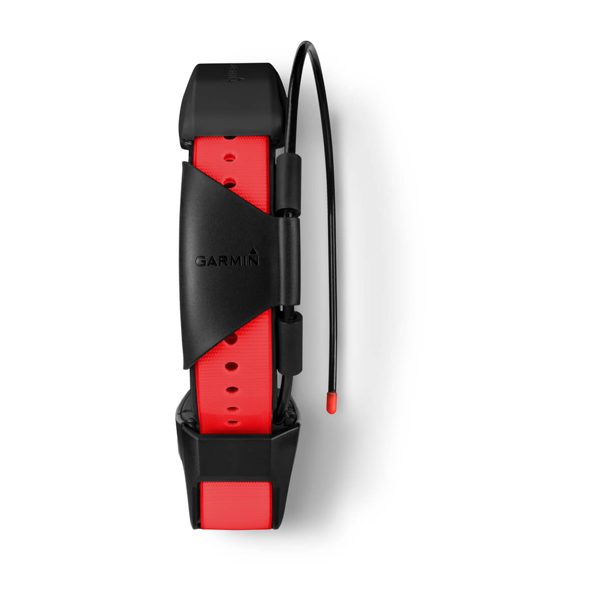 TT™ 15X Dog Collar Dog Tracking and Training Collar