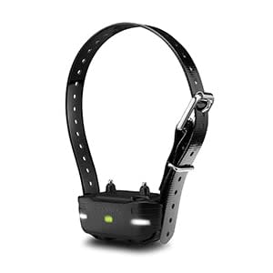 PRO 550 System (Includes Handheld and Dog Device)