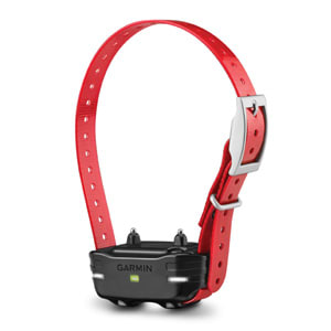 PT 10 Dog Device Red Collar