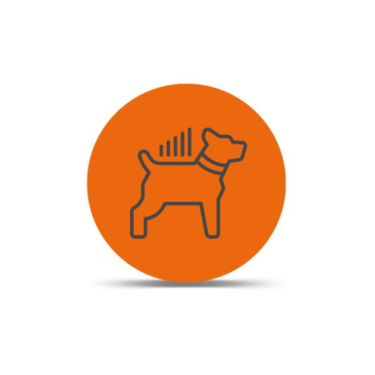 LTE Dog Tracking Plans Monthly