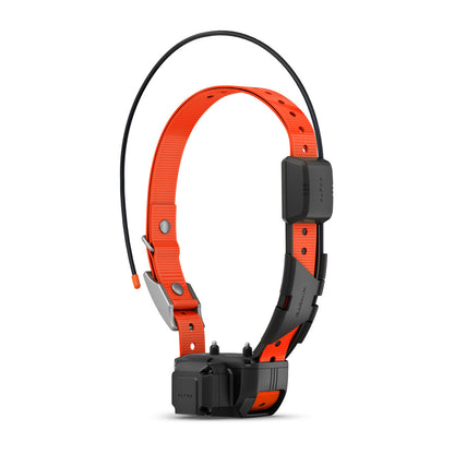 Alpha® TT 25 Dog Collar with Tracking Beeper Dog Tracking and Training Collar with Beeper