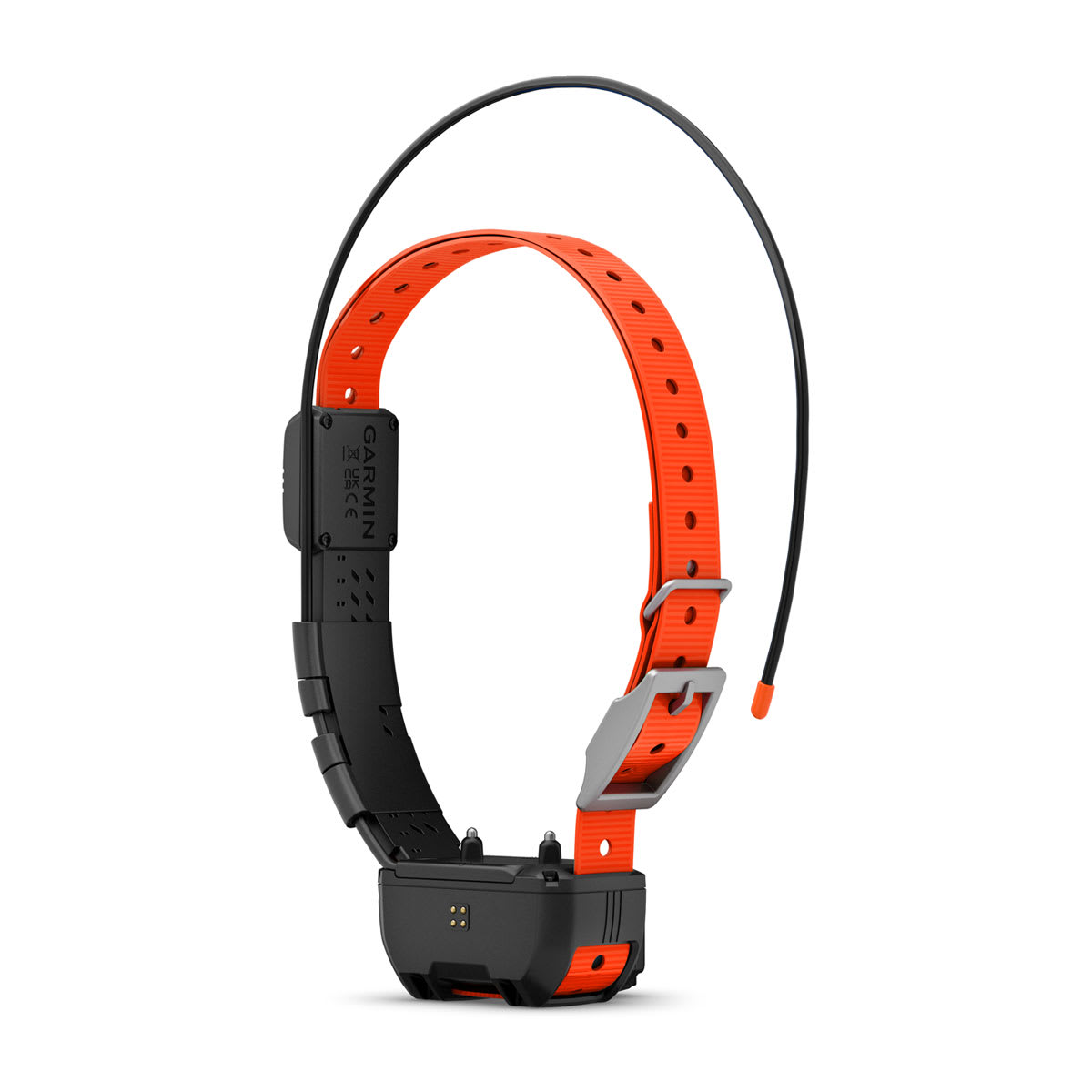 Alpha® TT 25 Dog Collar with Tracking Beeper Dog Tracking and Training Collar with Beeper