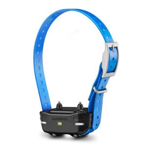 PT 10 Dog Device Blue Collar
