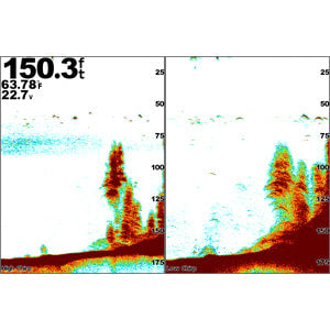 GSD™ 25 Premium Sonar Module GSD™ 25