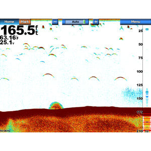GSD™ 24 Advanced Sonar Module Digital Remote Sounder
