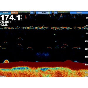 GSD™ 24 Advanced Sonar Module Digital Remote Sounder
