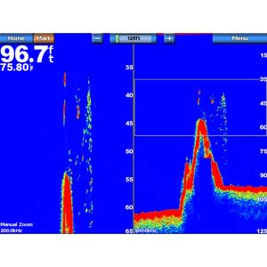 GSD™ 24 Advanced Sonar Module Digital Remote Sounder