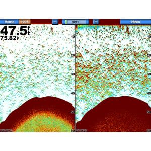 GSD™ 24 Advanced Sonar Module Digital Remote Sounder
