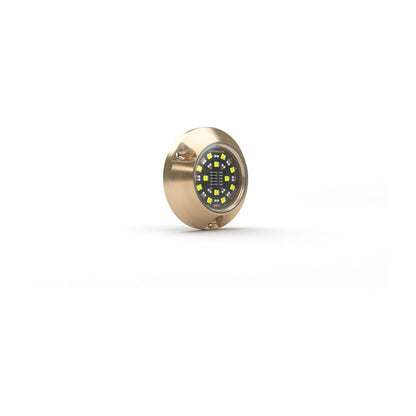 Lumishore® SMX154 Underwater Surface Mount RGBW Full Color Light