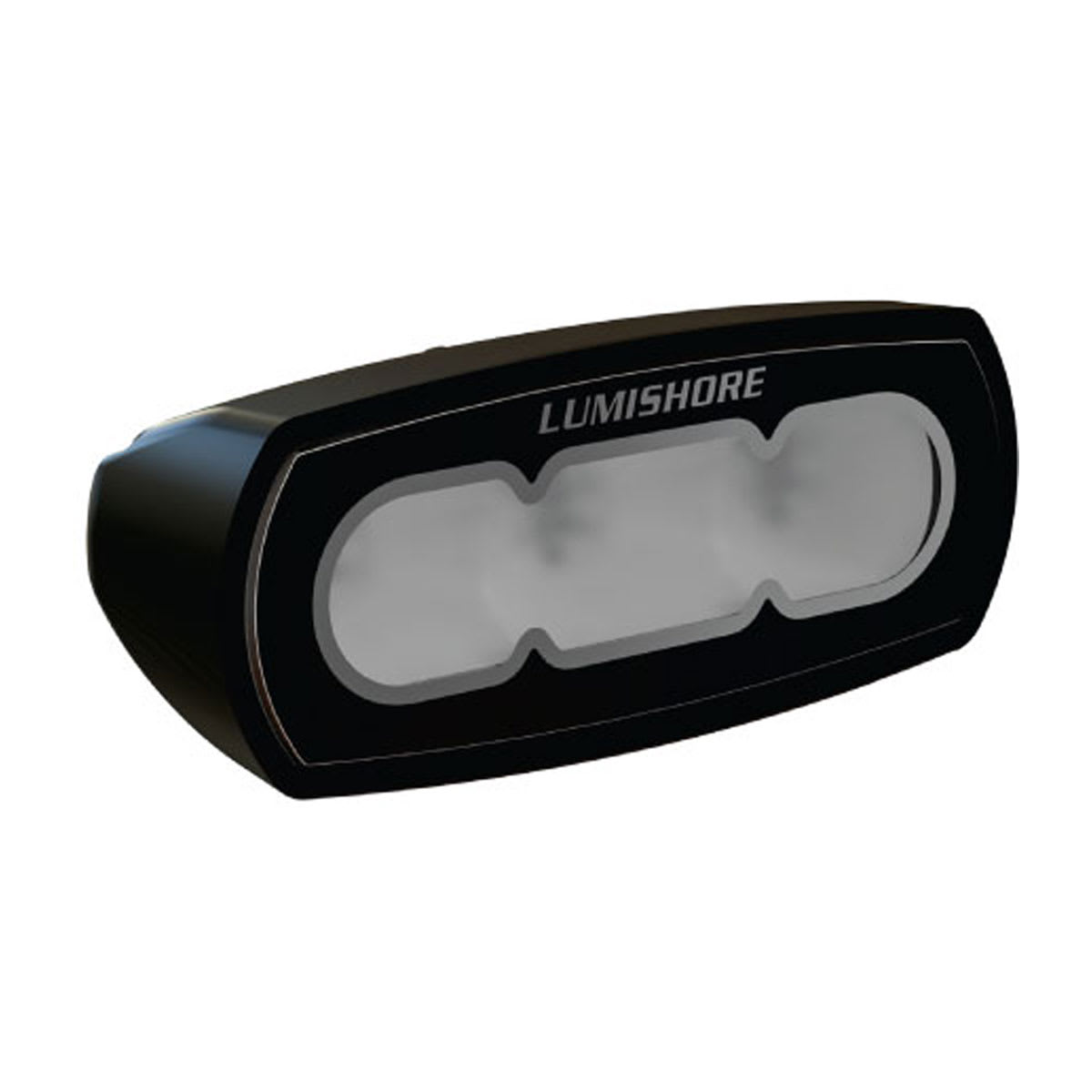 Lumishore® ECLIPSE Flood Light 4\" Black