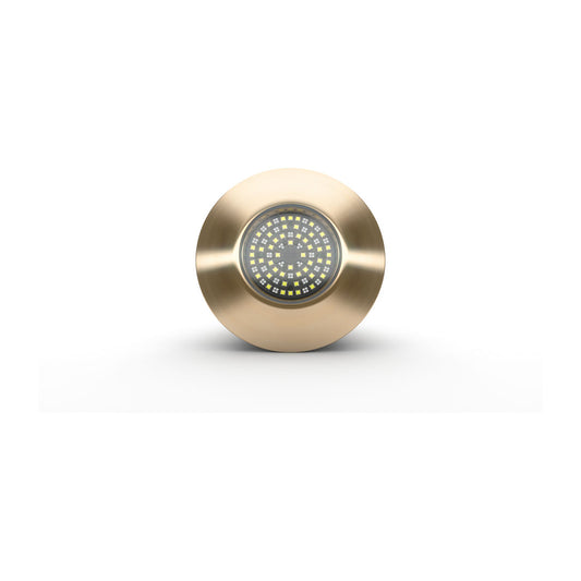 Lumishore® TIX1604 Underwater Interchangeable Thru-hull Blue/White Dual Color Light
